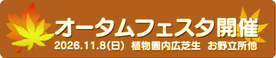 オータムフェスタ