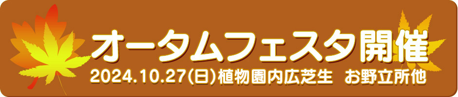 オータムフェスタ開催