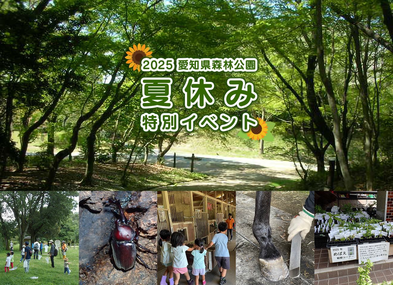 2025年森林公園夏休みイベント