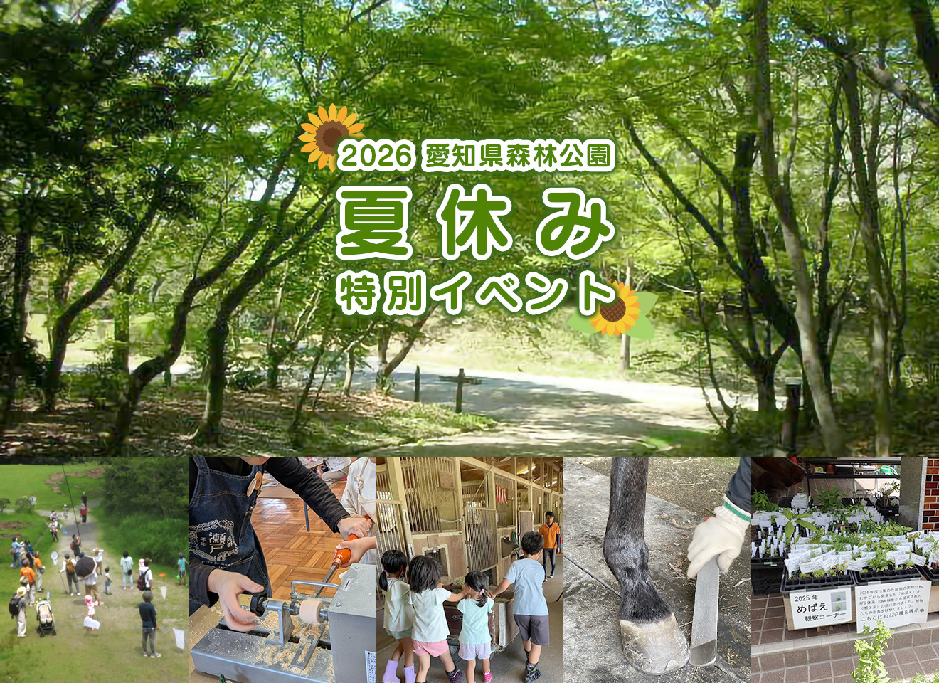 2026年森林公園夏休みイベント